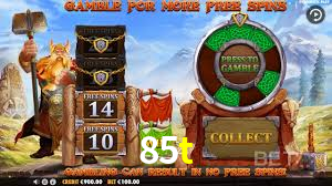 Programa VIP 85t